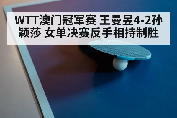 ping pong paddle close up